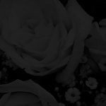 footer-image